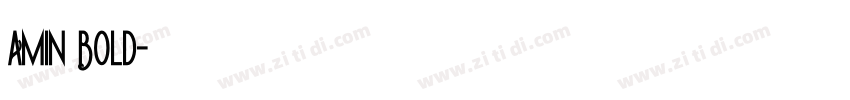 Amin Bold字体转换